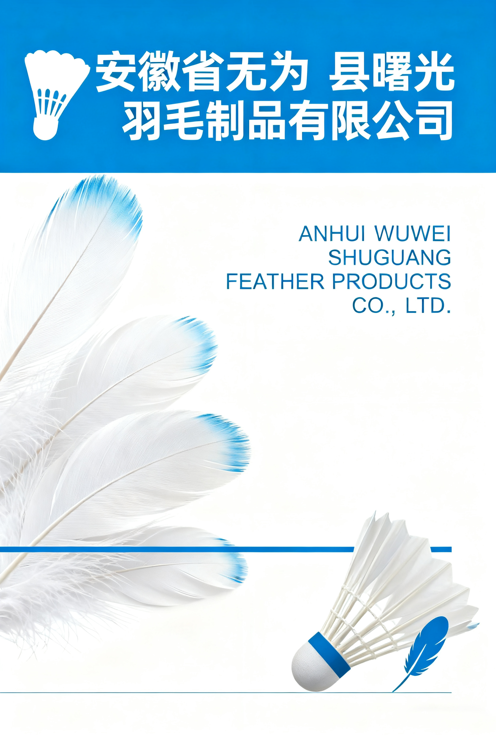 无为县曙光羽毛制品有限公司